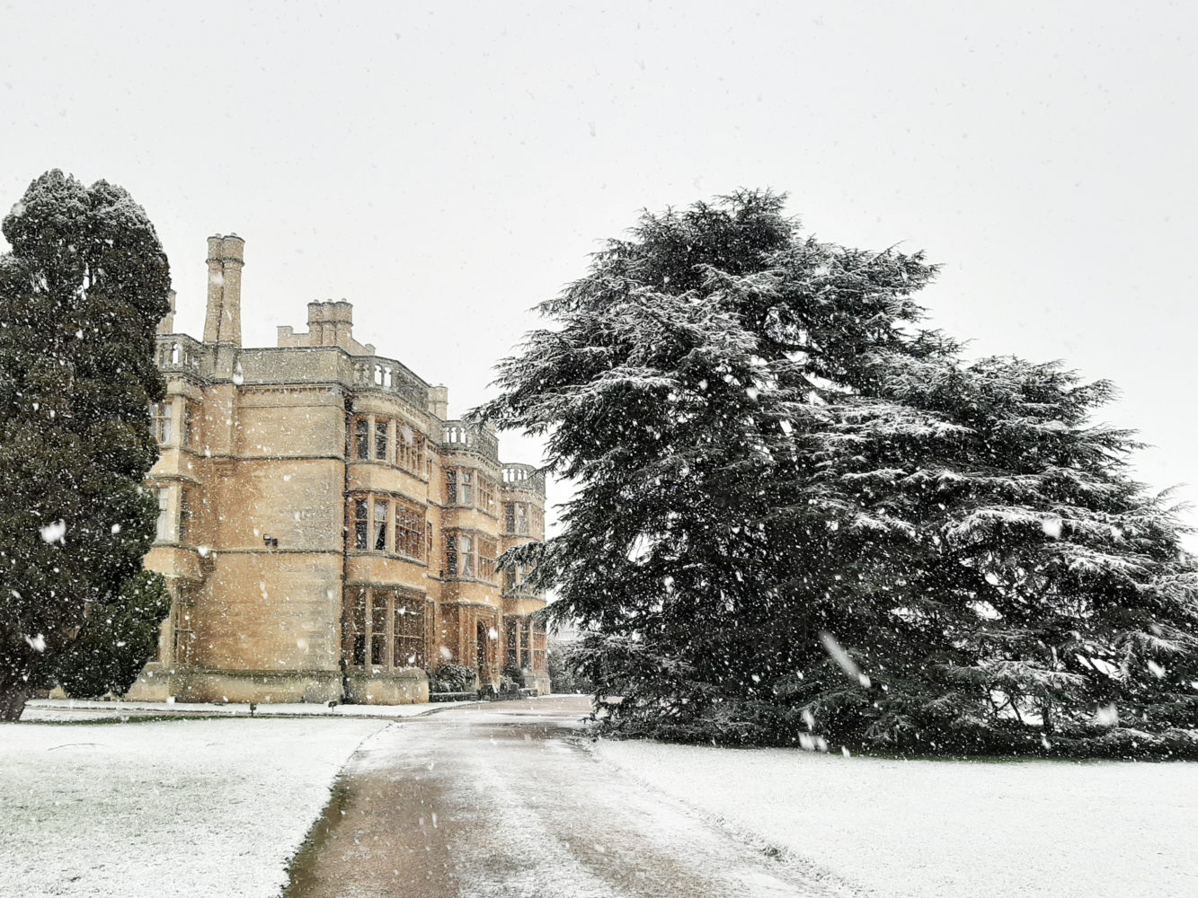 Snow Feb 2020